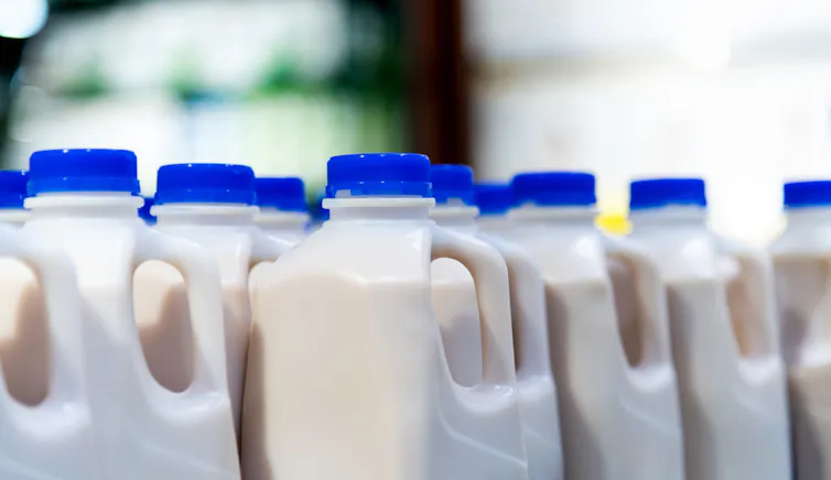 Milk