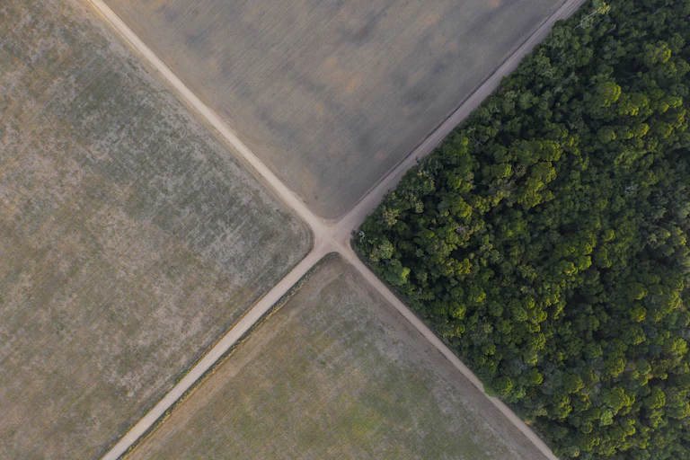 soy fields and rainforest from above
