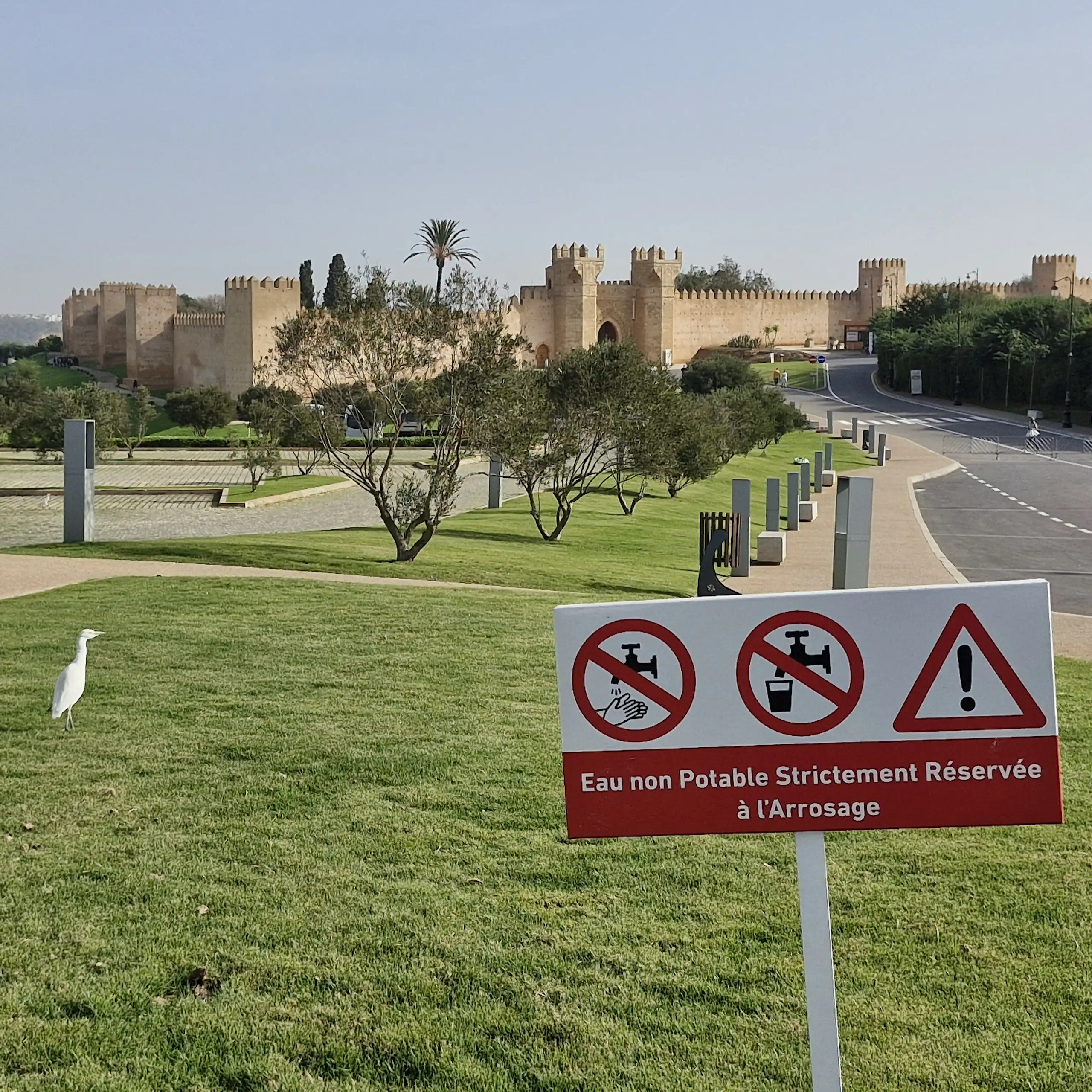 Eaux usées traitées réutilisées pour l’arrosage des espaces verts à Rabat.