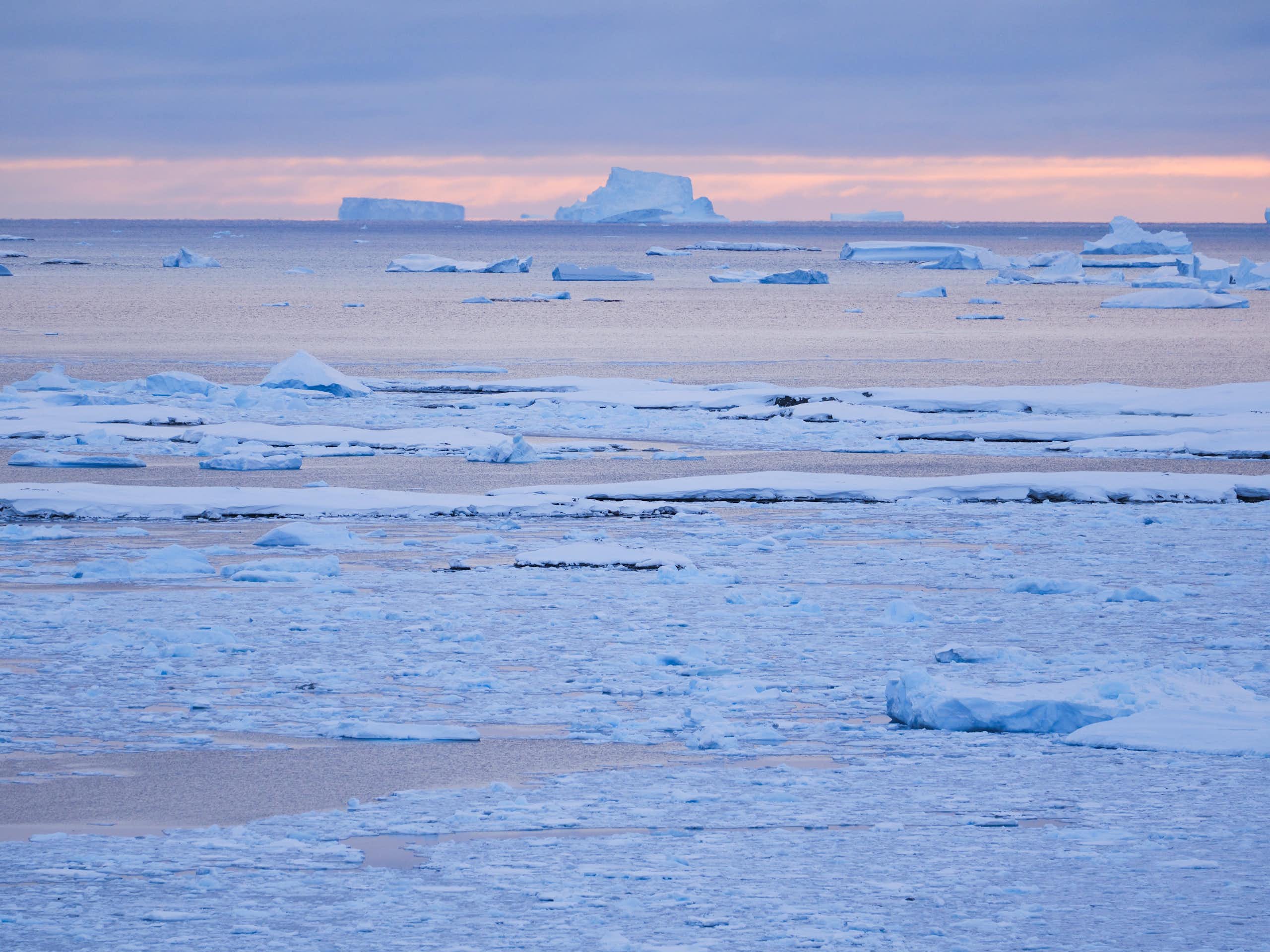 Unveiling the Antarctic ‘plastisphere’, a unique and potentially hazardous new ecosystem – new research