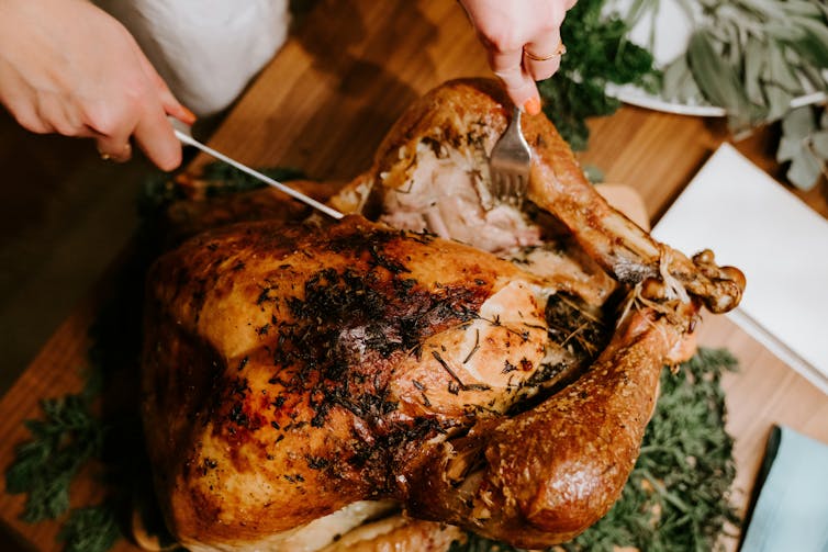 Someone carves a turkey.