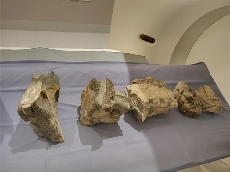 Boulders containing ichthyosaur bones getting a CT scan.