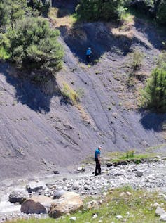 The collection site on Coverham Station, Kaikoura.
