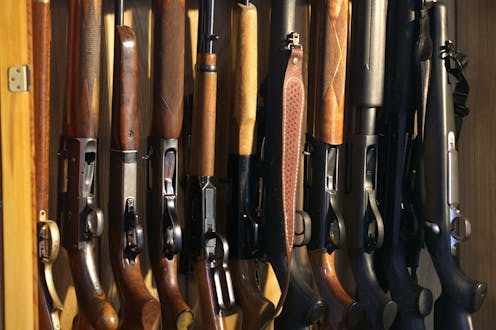 From ‘ghost guns’ to gangs, 5 lessons from Canada for NZ firearms reform