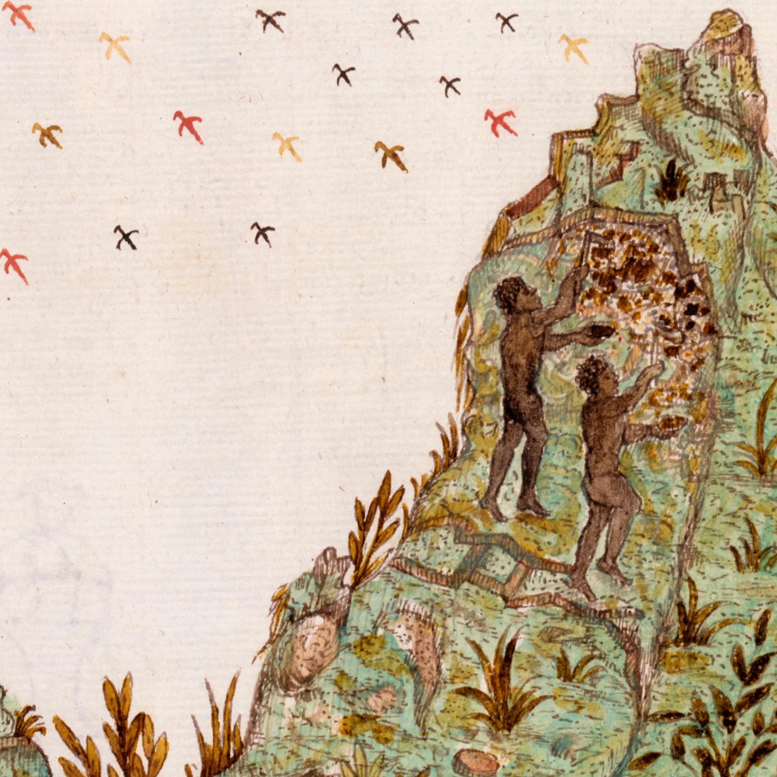 Slavery, Tax Evasion, Resistance: the Story of 11 Africans in South America’s Gold Mines in the 1500s Slavery, Tax Evasion, Resistance: the Story of 11 Africans in South America’s Gold Mines in the 1500s