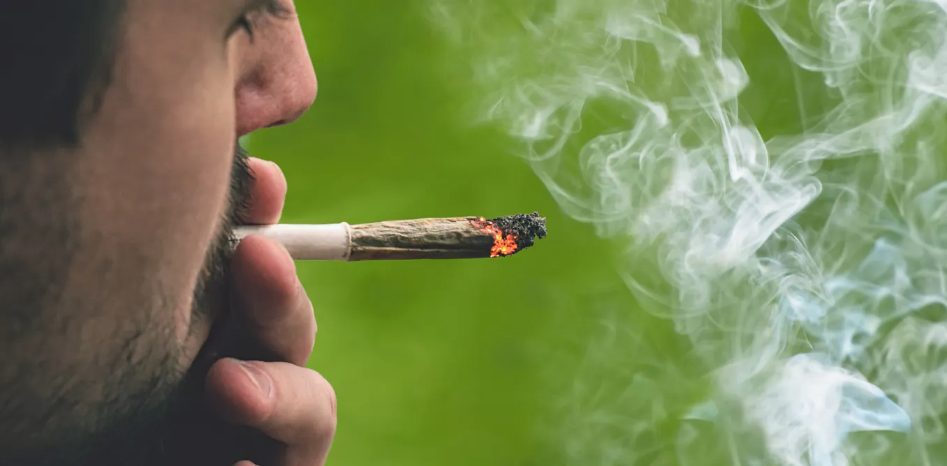 is tobacco same as weed Are tobacco and cannabis economic substitutes or complements? New research suggests it changes with age is tobacco same as weed Are tobacco and cannabis economic substitutes or complements? New research suggests it changes with age