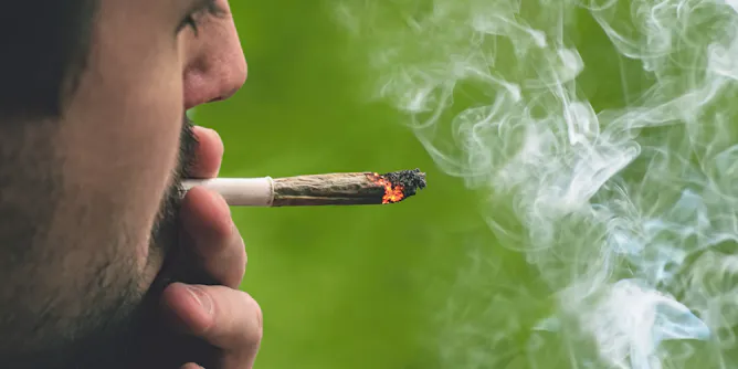 herbal cigarettes vs tobacco Herbal Cigarettes: Are They Really Any Healthier? herbal cigarettes vs tobacco Herbal Cigarettes: Are They Really Any Healthier?