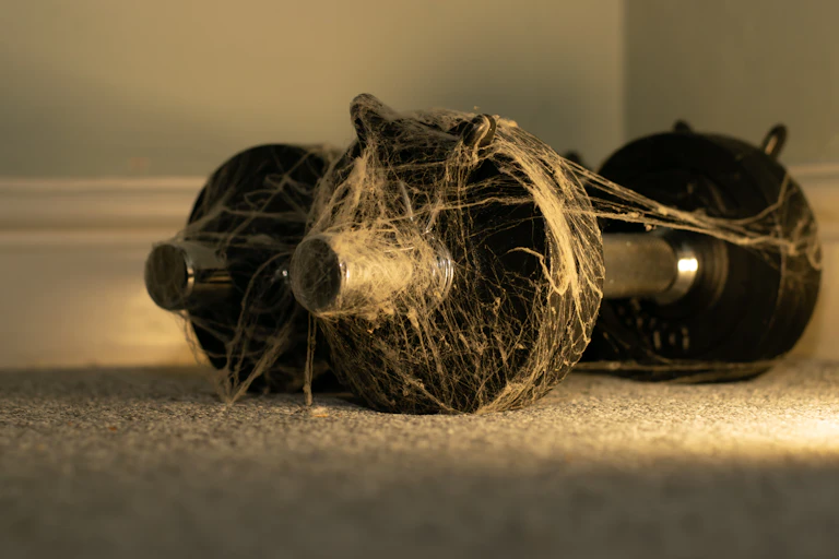 A set of dumbbells covered in cobwebs