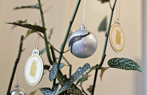 Decorating your Christmas tree? Try these crafts inspired by Aussie plants and animals