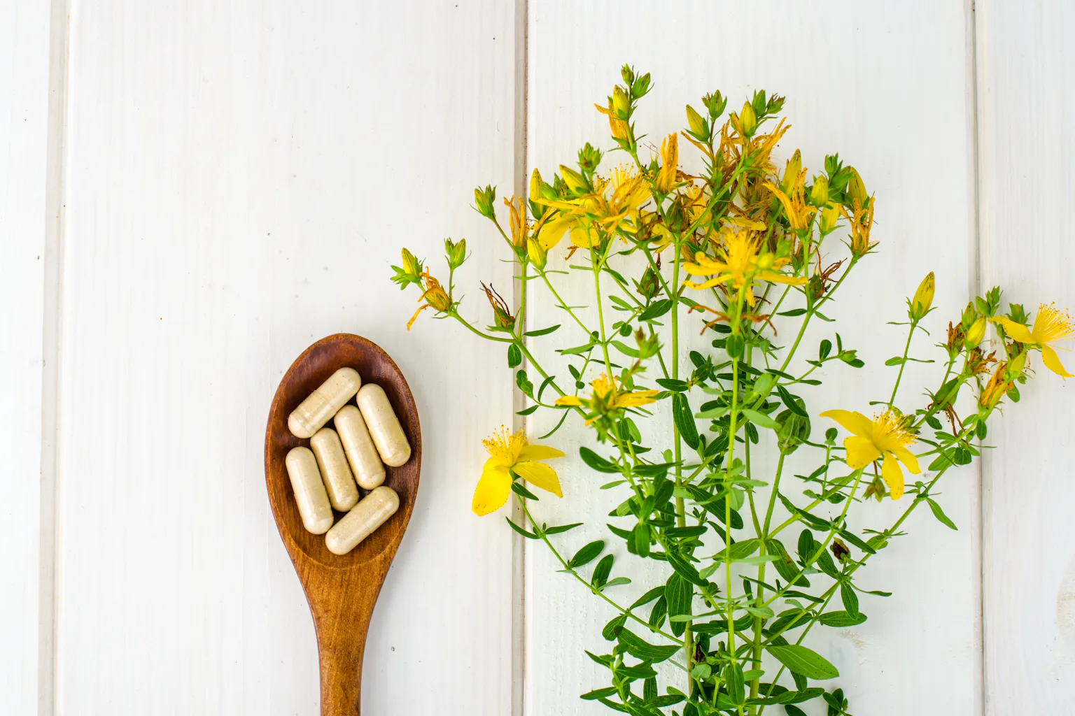 can st john's wort and acetyl l carnitine L-Carnitine | Linus Pauling Institute St John's wort: six drug