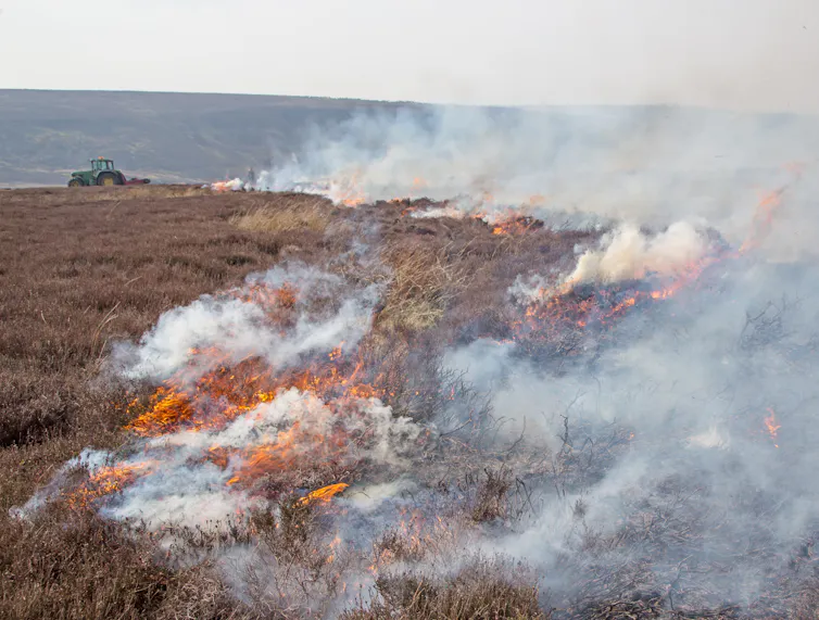 Fire and white smoke on a moorland landscape.