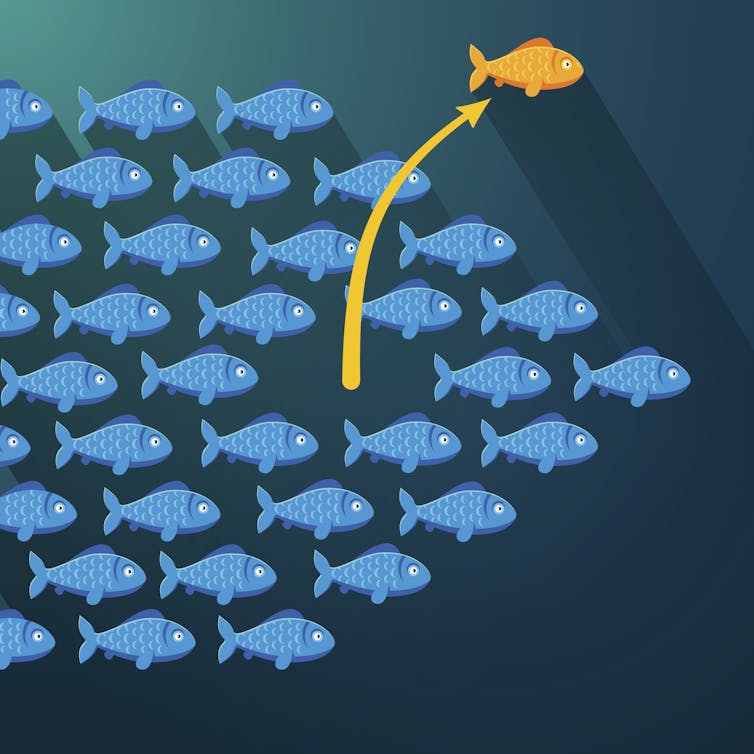 An orderly group of blue fish, with one gold fish pulling away from the group.