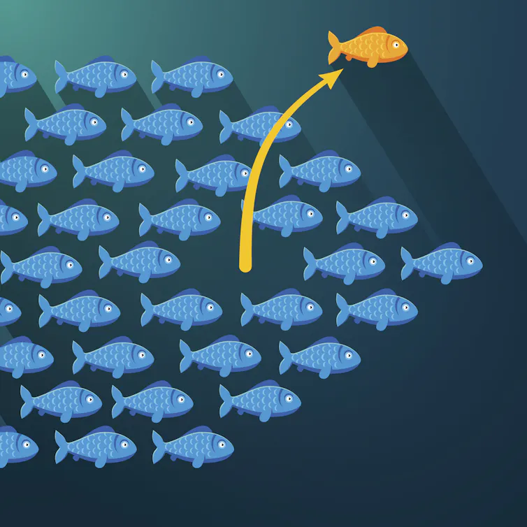 An orderly group of blue fish, with one gold fish pulling away from the group.