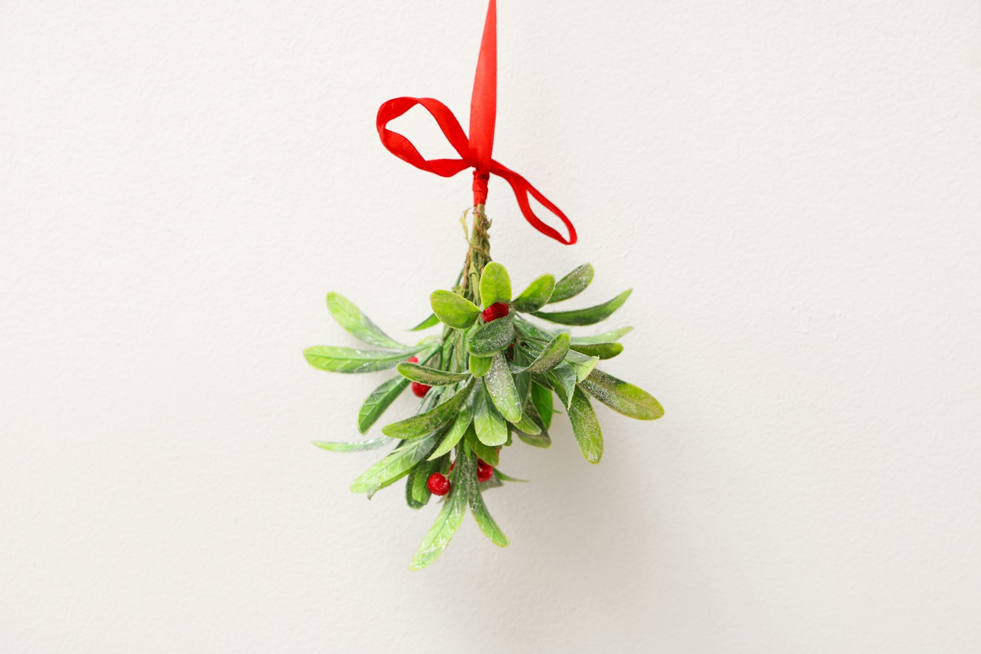 Picture of mistletoe discount