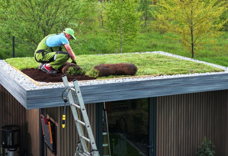 man laying green roof on top of building
