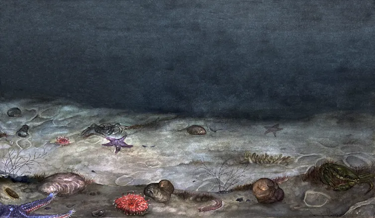 A barren seafloor.