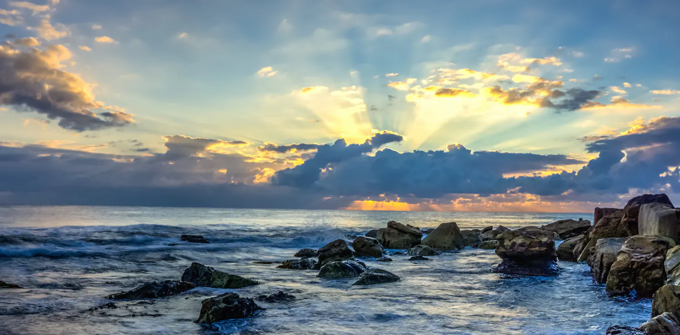 Things warm up as the East Australian Current heads south