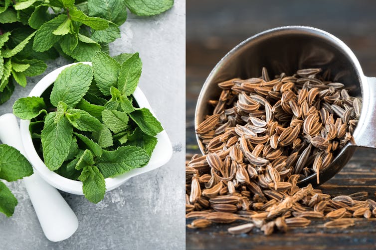 Spearmint (left) and caraway seeds (right)