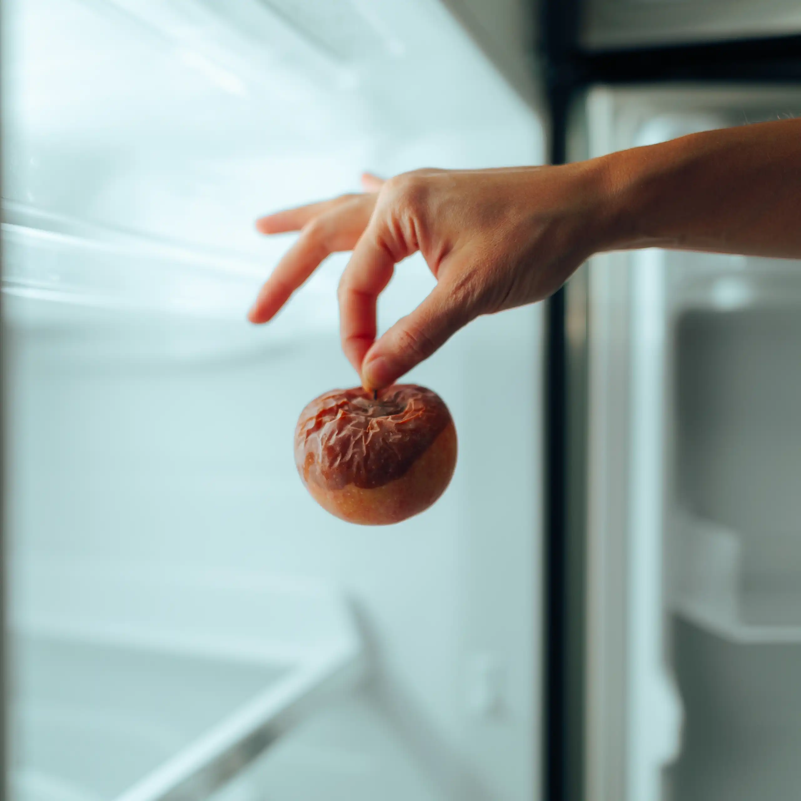 Une pomme pourrie dans un réfrigérateur.