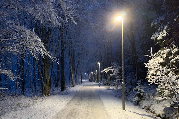 Winter evening in Stockholm.