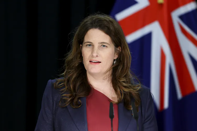 Nicola Willis at a lectern in front of the New Zealand flag.