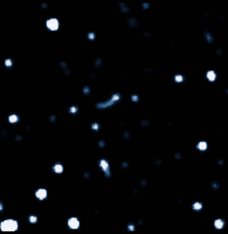 Animation of white circles moving through black space.