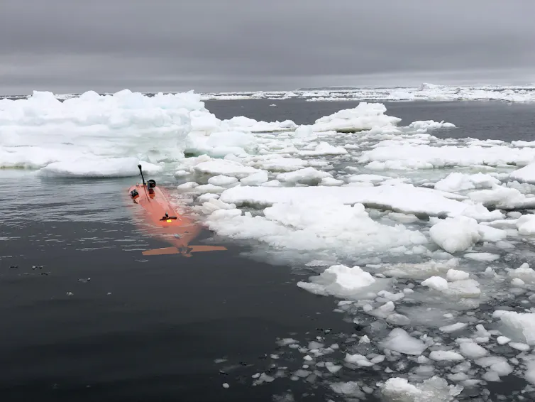 Orange robotic submarine moving through ice floes.