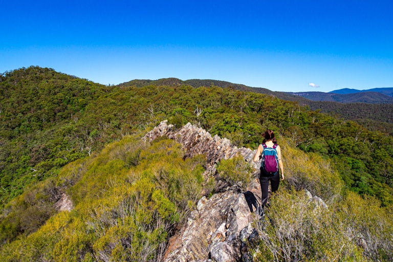 young woman walks through bush