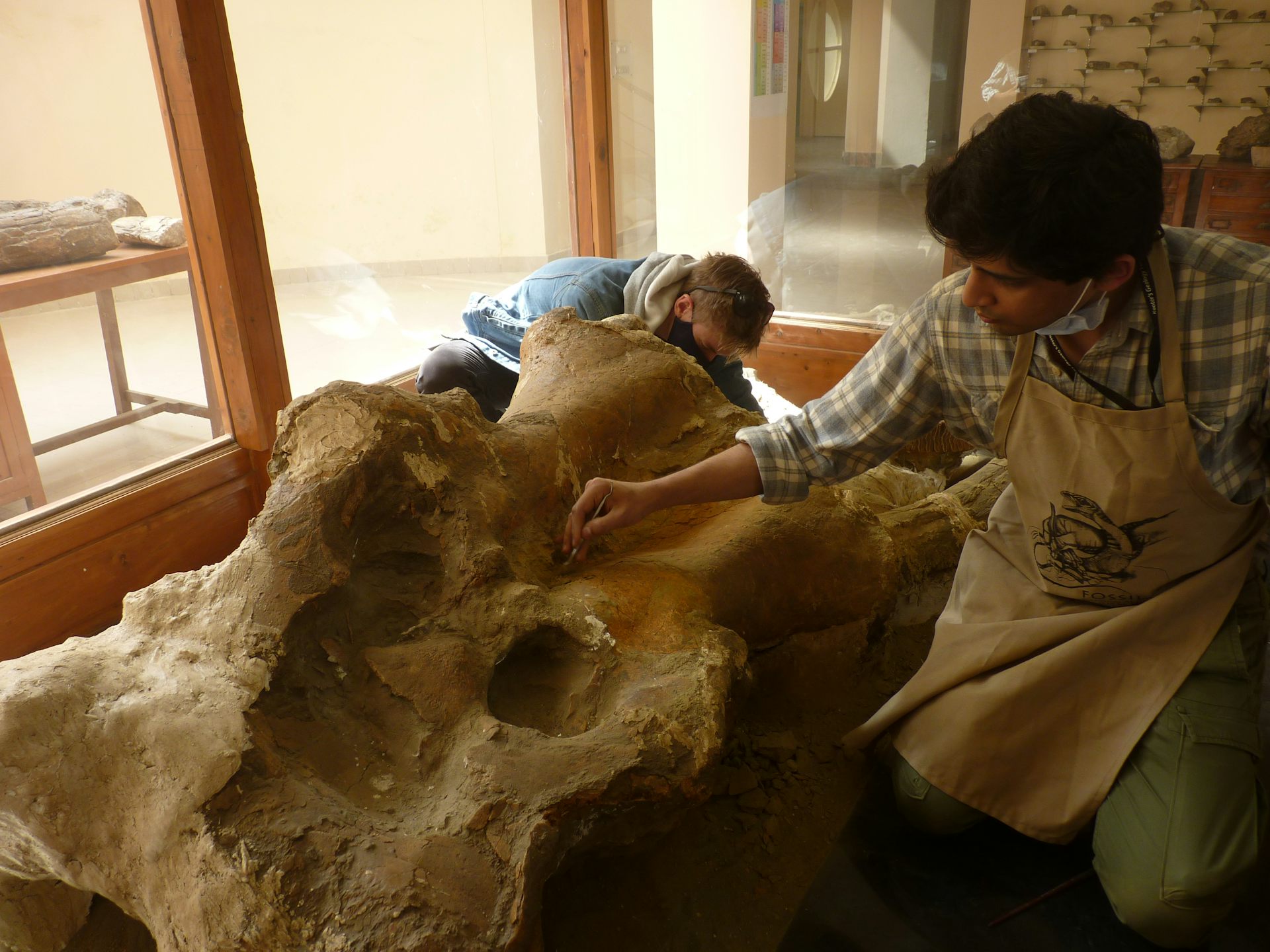 Two men work on a large fossil inside a glass case.