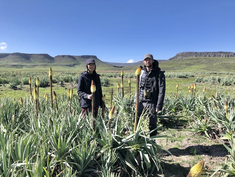 Two people in grassland with flowers