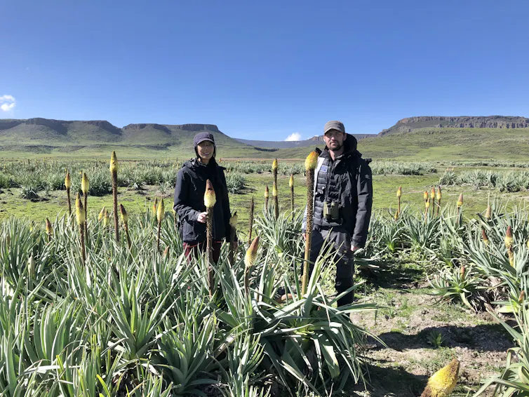 Two people in grassland with flowers