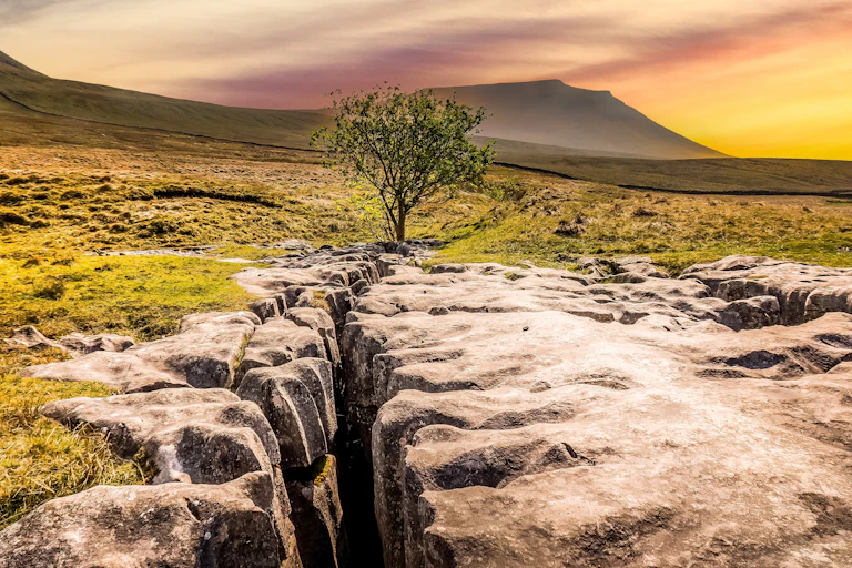 Limestone pavement in Yorkshire dales