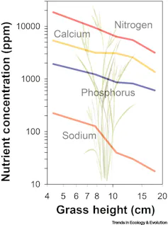 Image showing levels of nitrogen, calcium, phosphorus and sodiun in range grass falling with growth.
