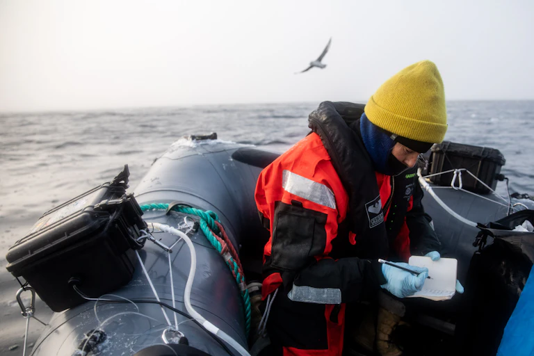 scientist in cold weather gear and yellow hat, sat in small boat writing down sightings, seabird flying in background, calm grey sea