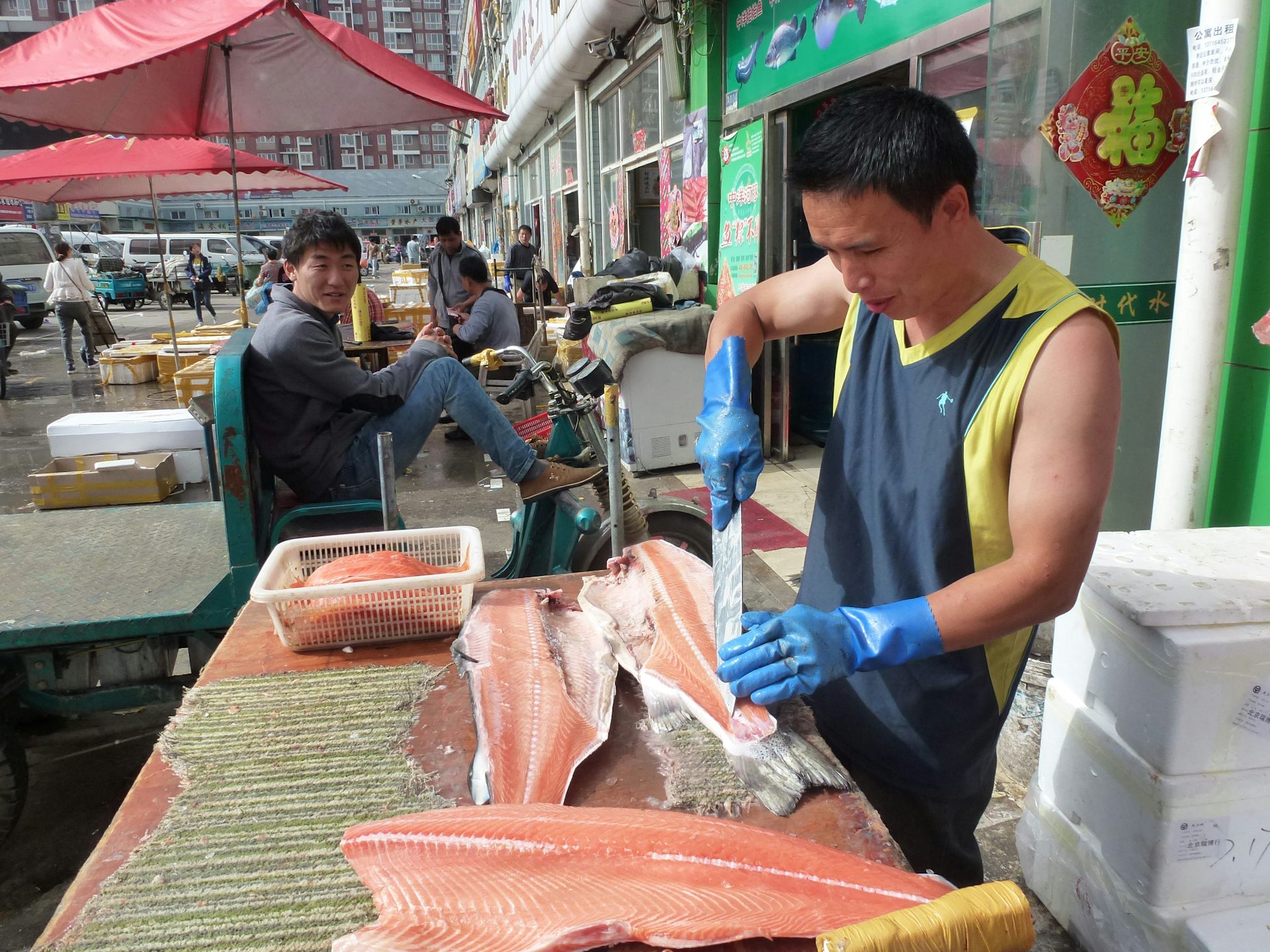 How Chinas appetite for salmon could reshape global seafood markets  new research