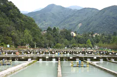 A raceway for trout farming in Chengdu, China.