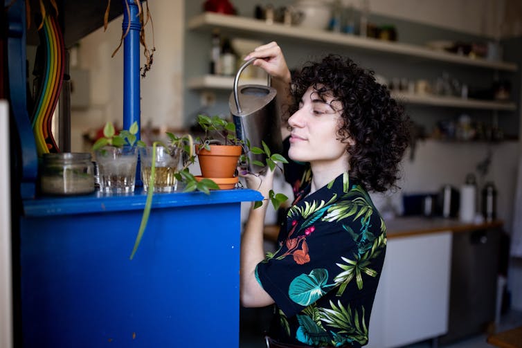 person watering little potted plants