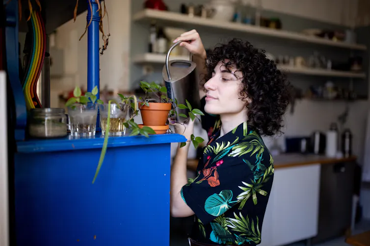 person watering little potted plants