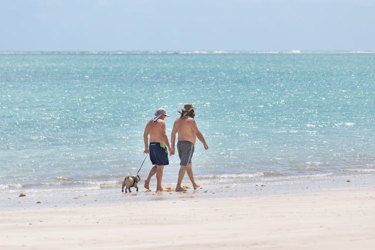 Two older men walk their dog on a beach.