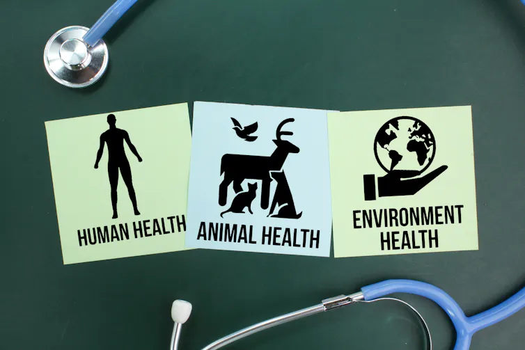 Pendekatan one health bermanfaat untuk kesejahteraan semua mahluk hidup.