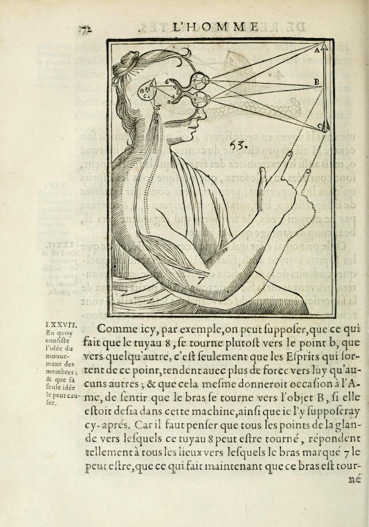 Angles of vision from a finger to a mirror to the eye.