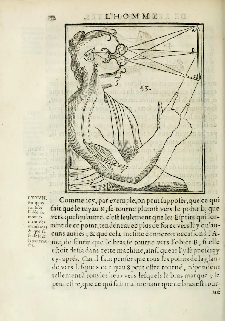 Angles of vision from a finger to a mirror to the eye.
