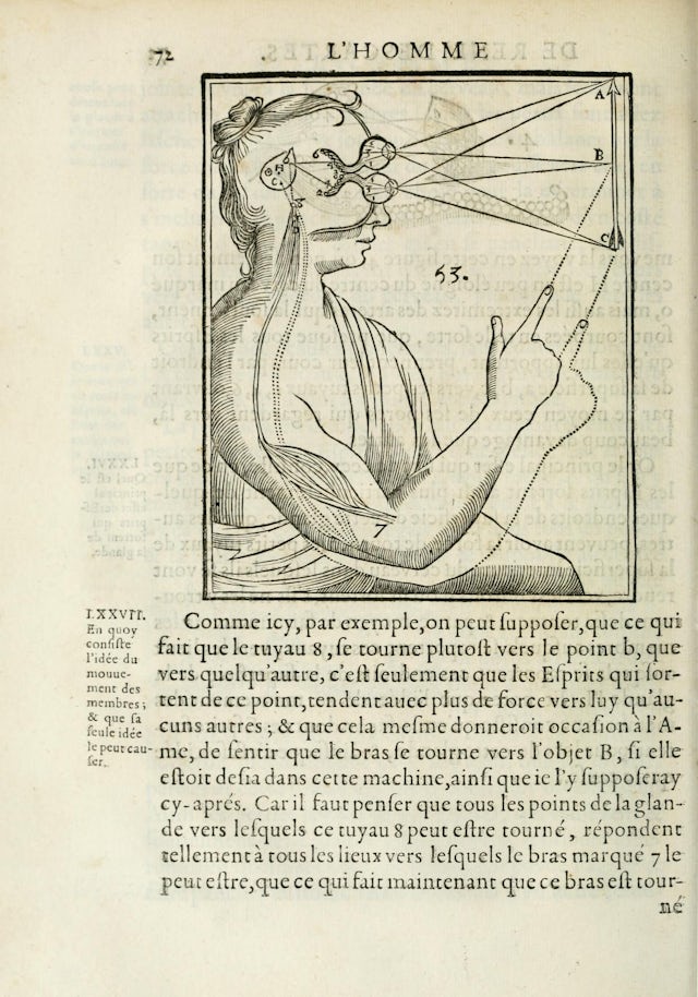 Angles of vision from a finger to a mirror to the eye.