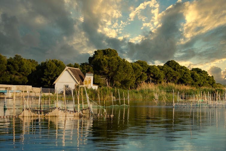 A lagoon with reeds, trees and a house on the shore.