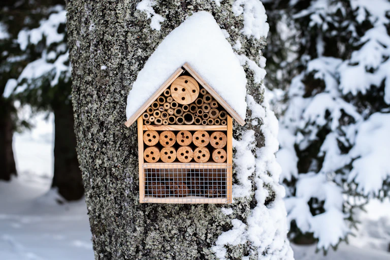 A wooden insect house hung on a snow-covered tree.