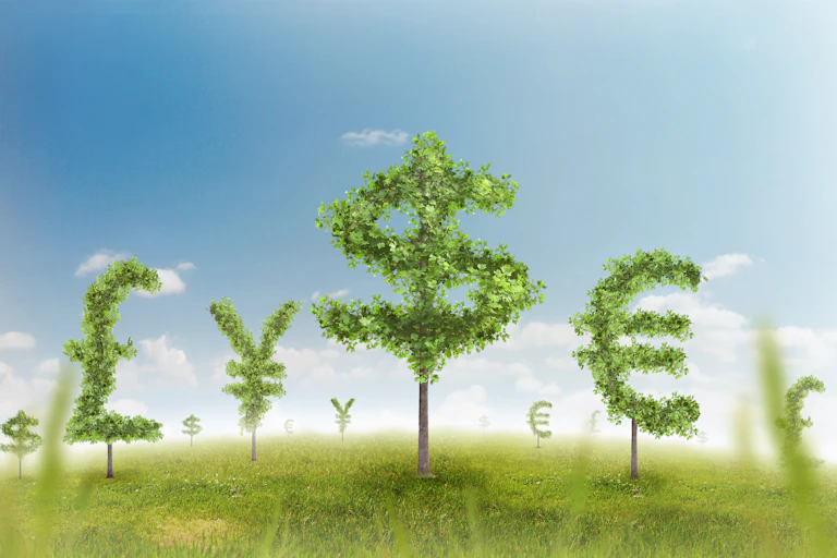 Currency symbols made of leaves