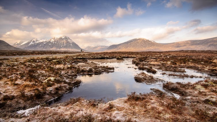 Peat bog with hills in background