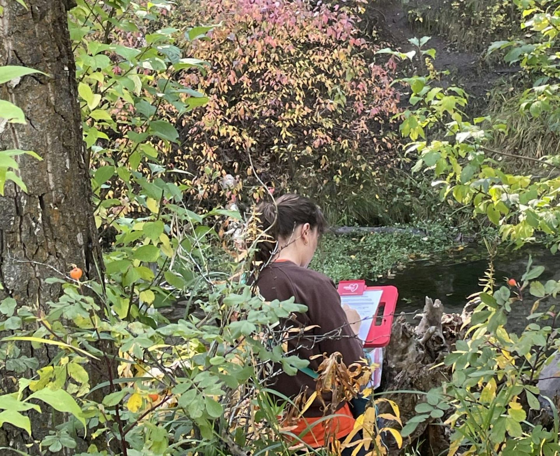 A woman writing in a book amid trees and grasses.