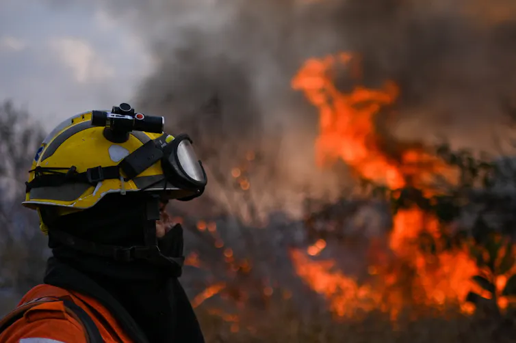 Perfil lateral (cabeça e ombros) de um bombeiro do Brasil combatendo um incêndio florestal em agosto de 2024.