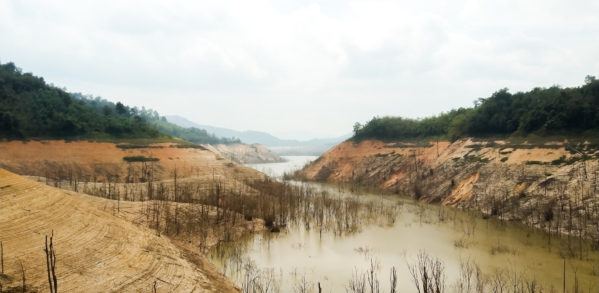 Praktik agroforestri belum efektif memulihkan hutan lindung: Studi di Lampung